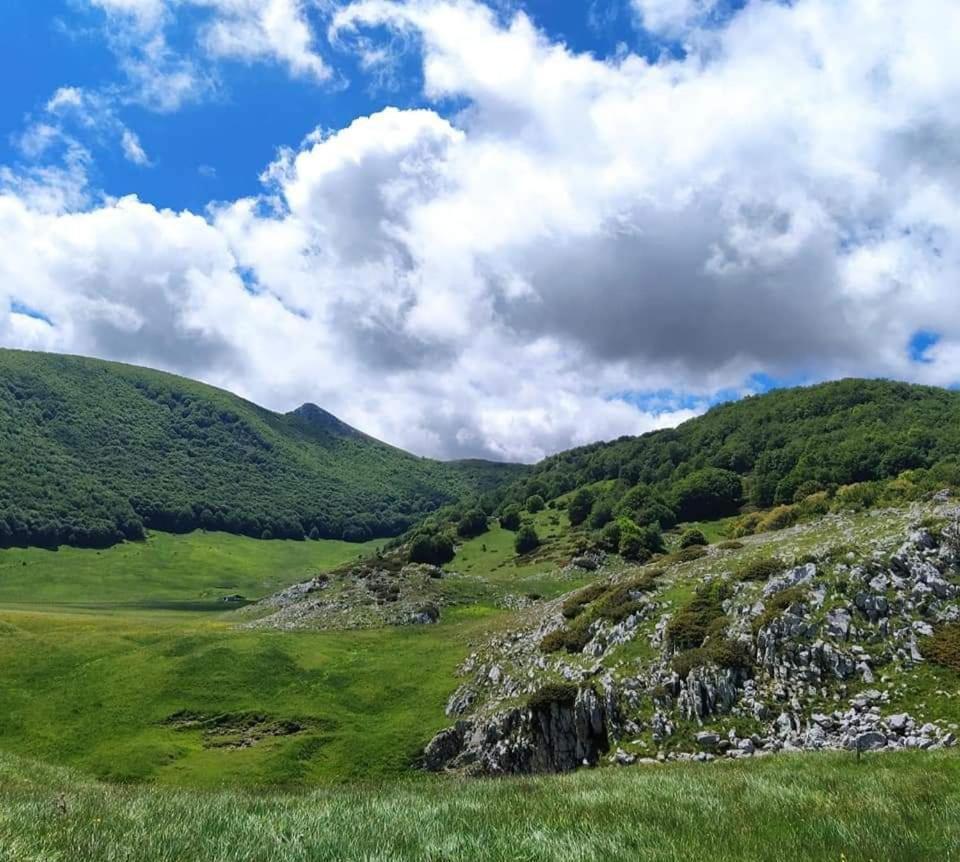 Bed and Breakfast Casa Ciuffina Civitella Casanova Zewnętrze zdjęcie