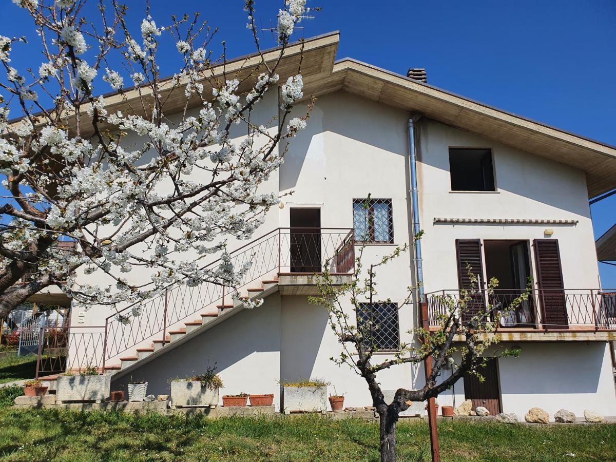 Bed and Breakfast Casa Ciuffina Civitella Casanova Zewnętrze zdjęcie