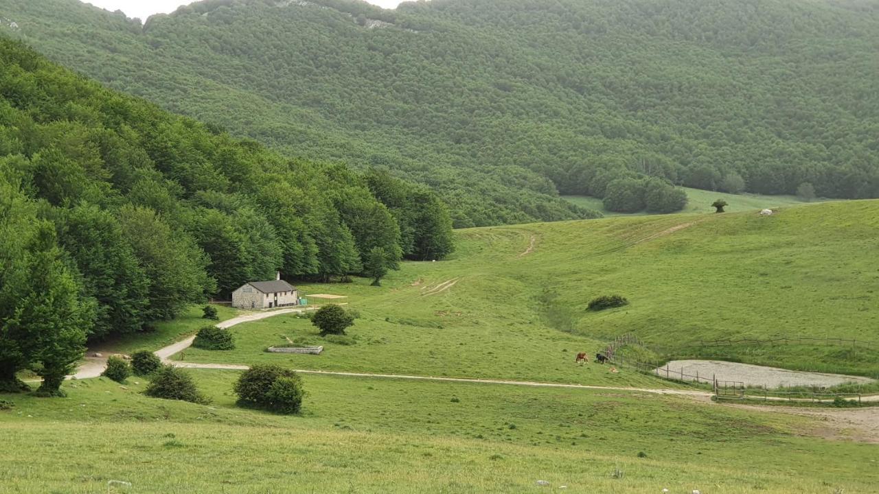 Bed and Breakfast Casa Ciuffina Civitella Casanova Zewnętrze zdjęcie